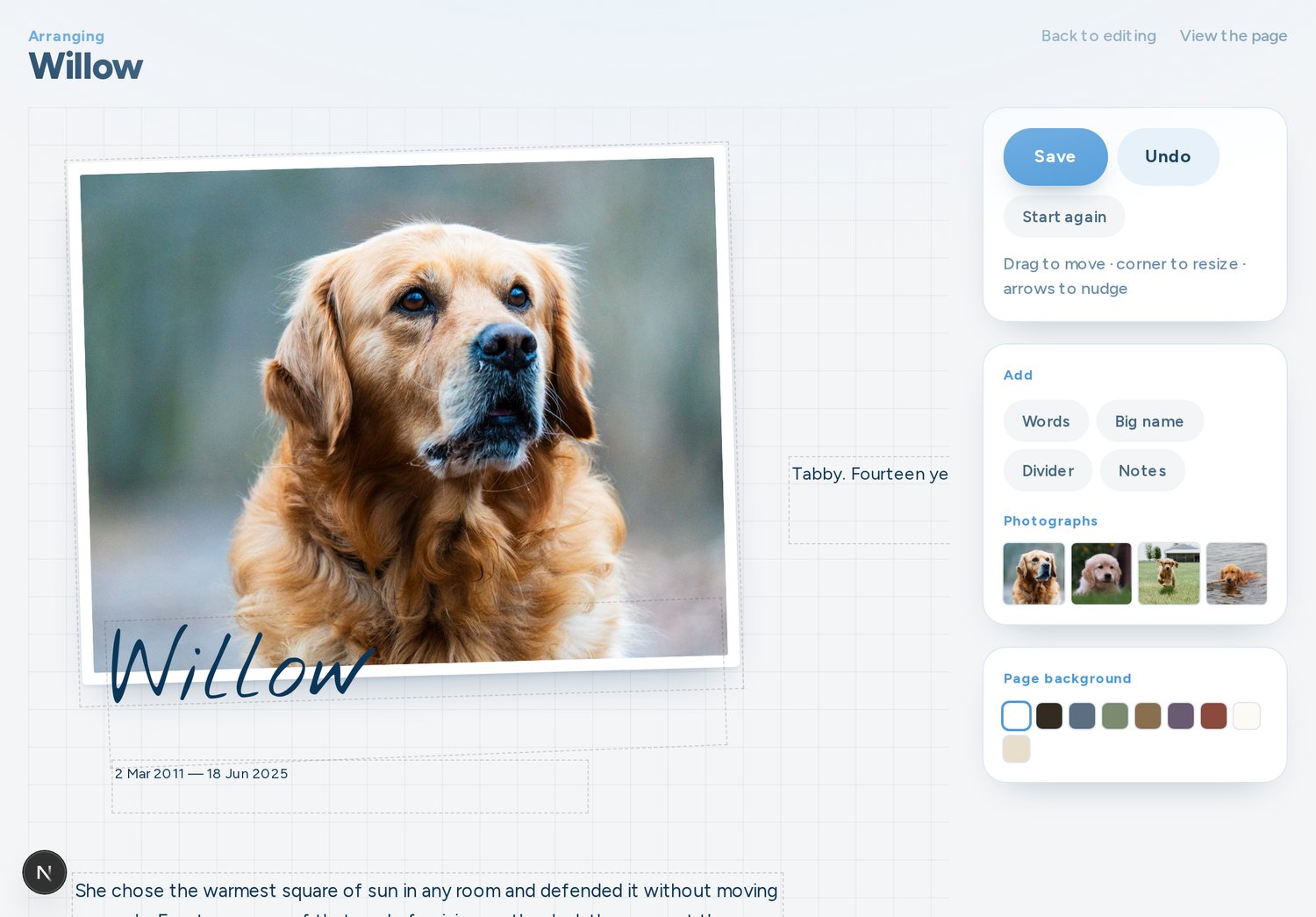 The canvas editor